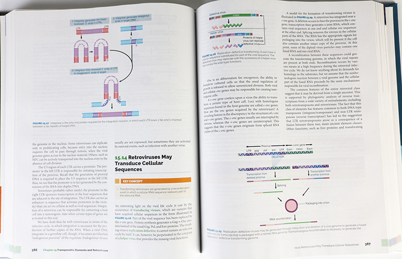 英文原版 Lewin's Genes XII基因第12版精装英文版进口英语原版书籍_虎窝淘