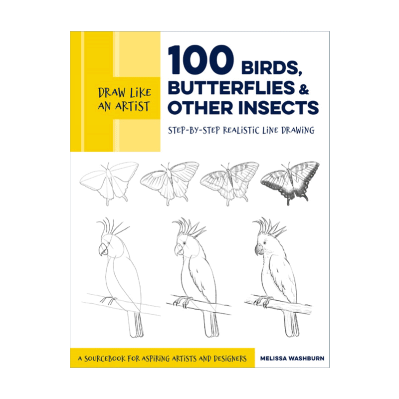 英文原版 Draw Like an Artist 100 Birds Butterflies and Other Insects 像艺术家一样画画 100种昆虫 英文版 进口英语原版书籍