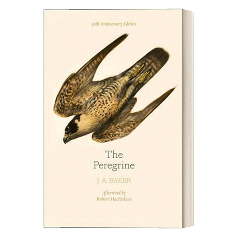 英文原版 The Peregrine 50Th Anniversary Edition游隼 J.A.贝克 50周年版英国自然文学英文版进口英语原版书籍-图0