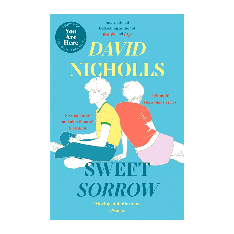 英文原版 Sweet Sorrow 有你的夏天 少年的甜蜜忧伤 一天作者David Nicholls 英文版 进口英语原版书籍