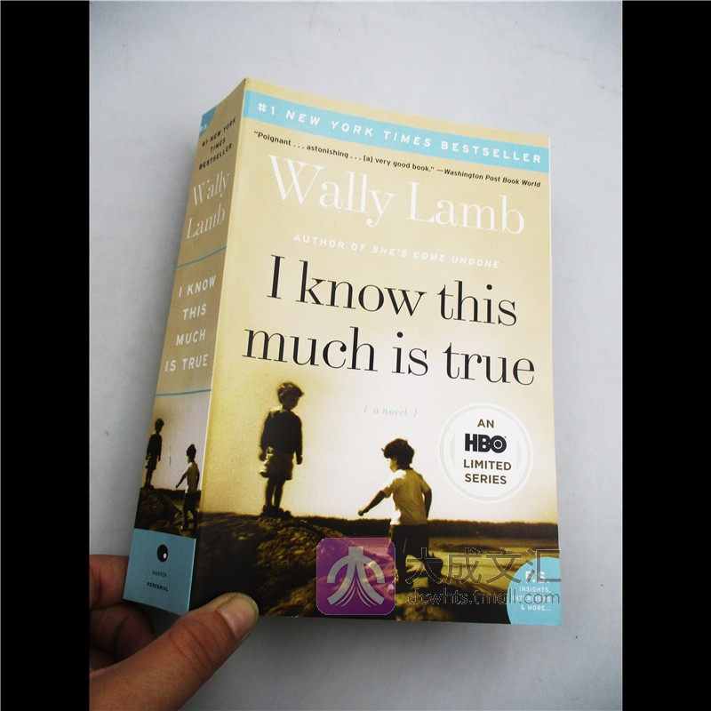 I Know This Much Is True 我知道这是真的 英文原版 HBO新剧原著小说 绿巨人马克鲁法洛主演 英文版