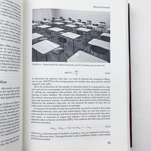 英文原版 Urban Economics and Fiscal Policy 城市经济与财政政策 精装 英文版 进口英语原版书籍 - 图3