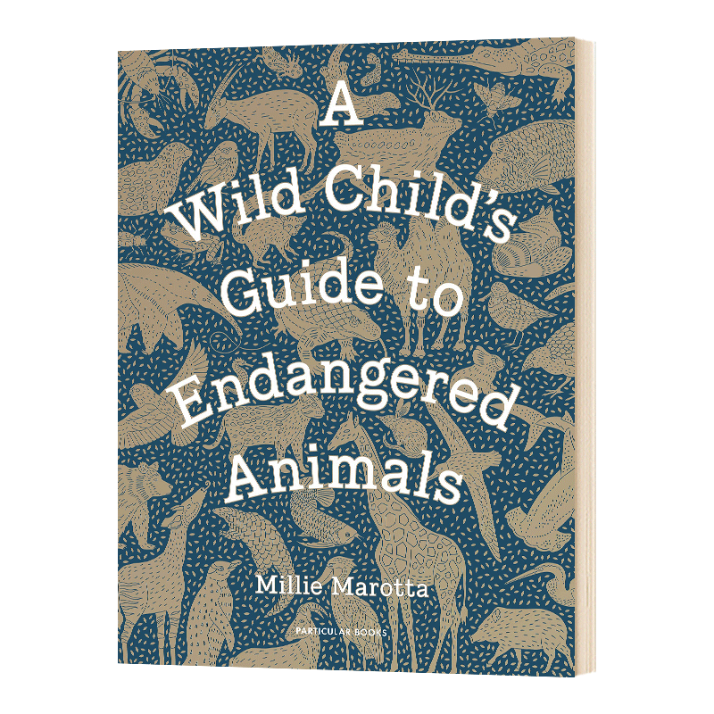 英文原版 A Wild Child's Guide to Endangered Animals 野生濒危动物指南 绘画画册画集插图科普读物 英文版 进口艺术英语书籍 - 图0
