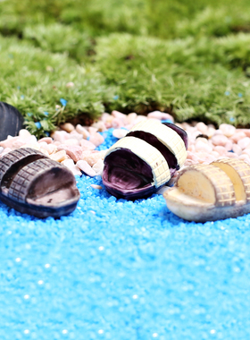 乌篷船桌面创意迷你装饰可爱绿植物微景观干花艺多肉小盆栽小摆件