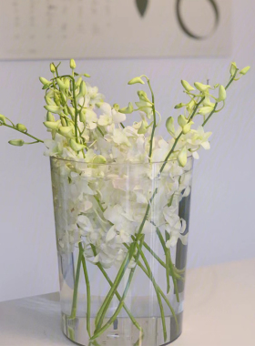 醒花桶家用超大号养花插花深水