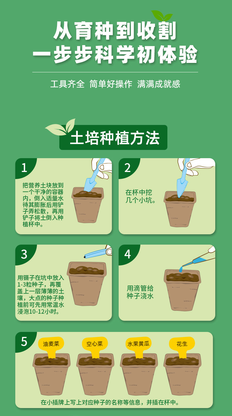 娃娃博士 生态实验室儿童阳光种植房套装手工DIY种植探索盒子玩具