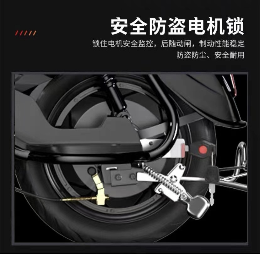 新国标金鹰电动车成人新款两轮亲子电瓶车双人通勤代步电自行车-图1