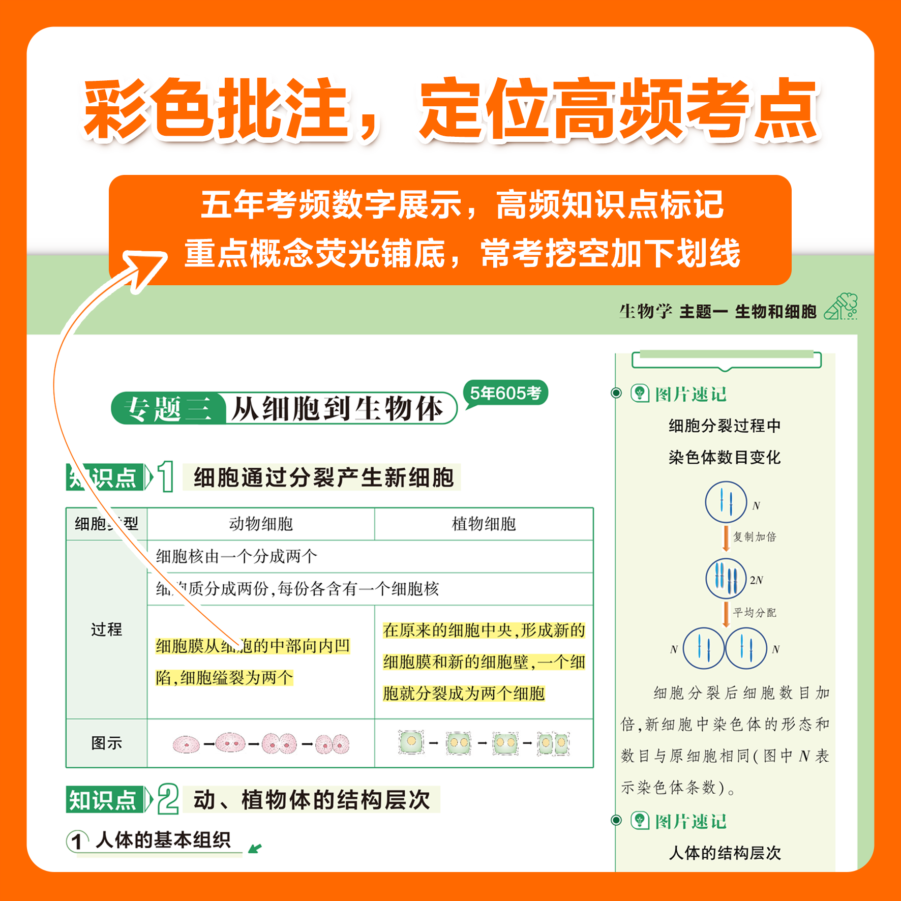 2026载望口诀秒记初中小四门知识点一本通人教版全国通用 初一二三七八九年级政治历史地理生物核心高频考点速记知识汇总手册大全