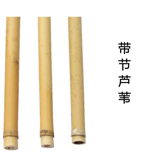 安徽芦苇管子哨片制作管子哨子加工原料材料苇子芦苇杆芦苇管苇草 - 图0
