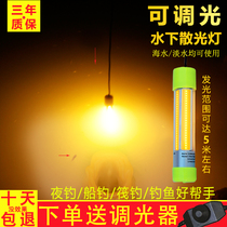 12v underwater bait light Polymermaid lamp underwater fishing light raft fishing light yellow light set fish lamp bright light ultra bright leading fish lamp