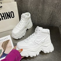 Hong Kong Pine Pastry Bottoms High Help Casual Shoes 2023 Spring Autumn Season New Womens Shoes Thick Bottoms Heightening Little White Shoes Old Daddy Shoes