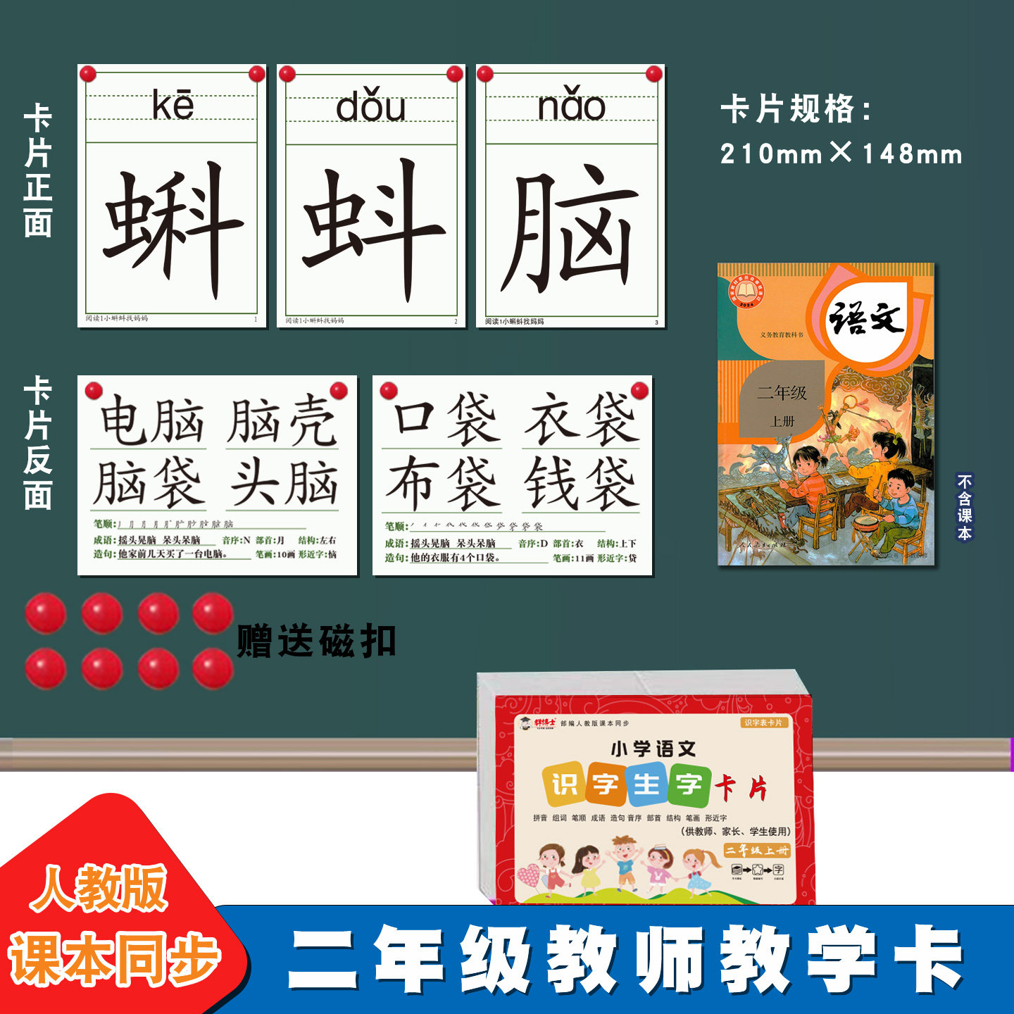 小学语文生字与词语教师卡片二年级上册下册供教学使用同步2026人教版课本教材图书辅导小学生会认字识字写字生词组词老师专用教具