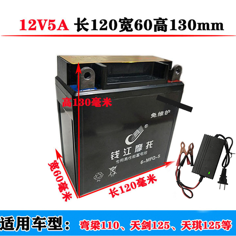 弯梁摩托车干电池豪爵钱江大阳宗申110/100通用12V5A免维护电瓶 - 图2