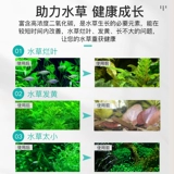 Таблетки газа углекислого газа специальная травяная водопроводная трава.