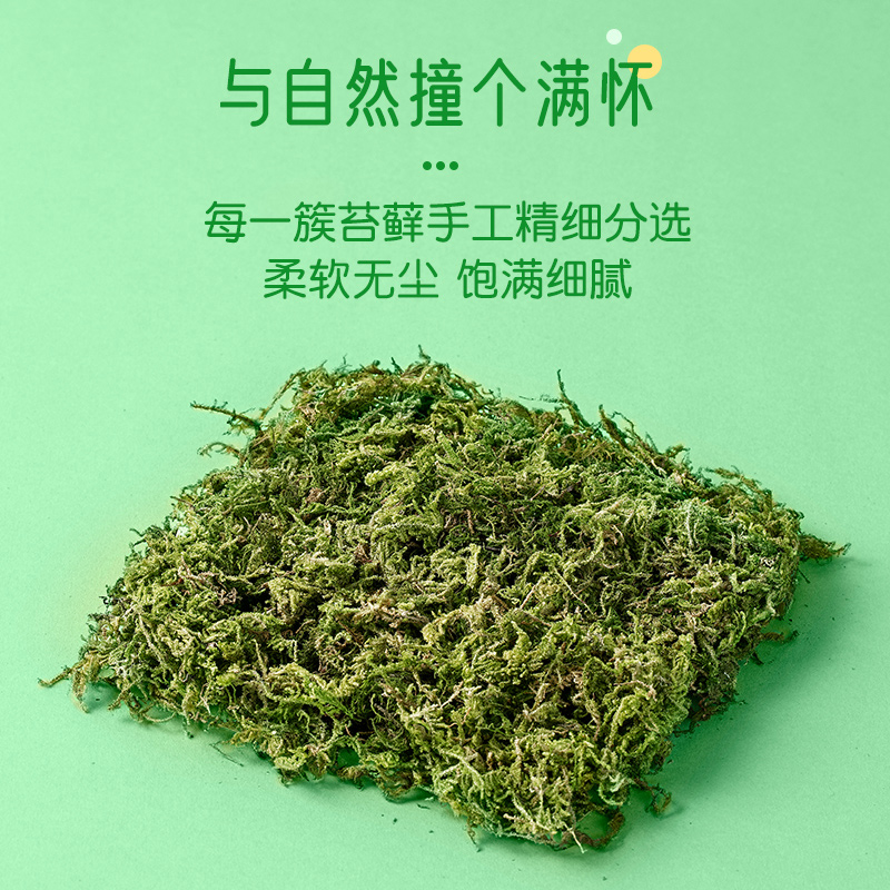 yee仓鼠森林干苔藓垫料金丝熊筑巢挖掘仓鼠笼子造景用品自然除臭 - 图0