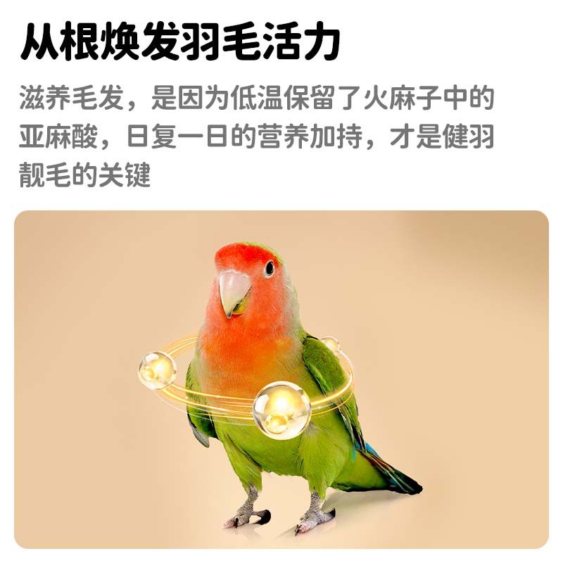 yee鹦鹉零食纸壳薄皮火麻子牡丹玄凤小太阳互动奖励训鸟磨喙用品,淘宝优惠券,粉丝福利购,淘宝优惠卷