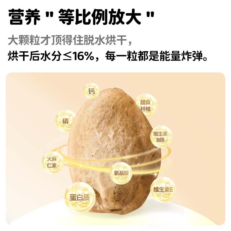 yee鹦鹉零食纸壳薄皮火麻子牡丹玄凤小太阳互动奖励训鸟磨喙用品,淘宝优惠券,粉丝福利购,淘宝优惠卷