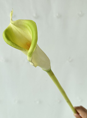仿真花婚庆装饰槐树叶排花背景墙