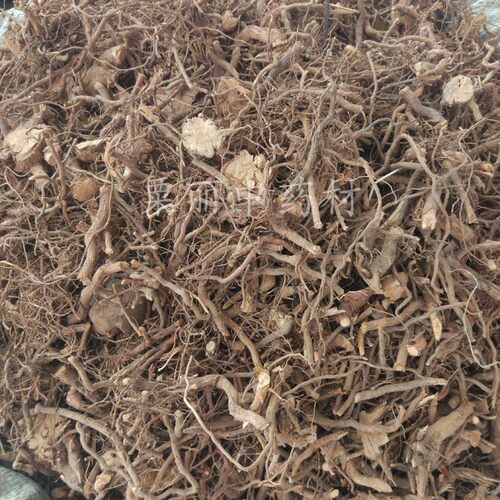 野生茅梅500克中药材 茅莓根三月泡 红梅消根 蛇泡簕 蛇泡筋 - 图0