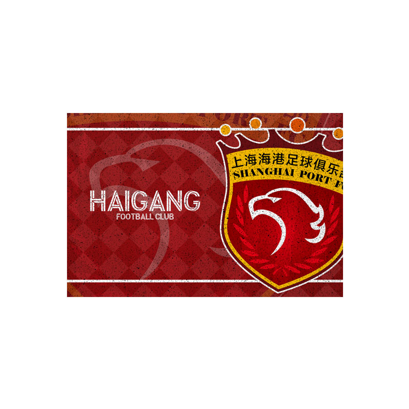 上海海港申花津门虎足球迷丝圈地垫入户门外进门口脚垫子