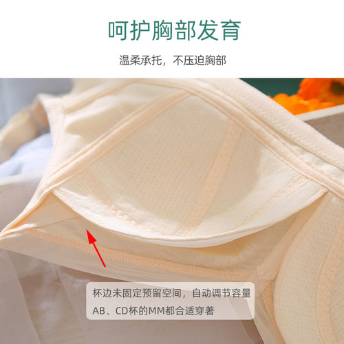 大码纯棉内衣 少女无钢圈C全罩杯文胸学生大胸显小胸罩发育期女生 - 图1