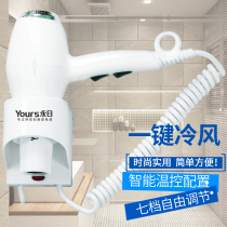 Yongge 6610 Hotel Guesthouse Wall-mounted Electric Hair Dryer Toilet Bathroom Home Cold Hot Air High Power Wind-dryer