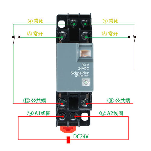 RXM4AB2BD交流电磁中间继电器小型RXM4LB2P7RXM2AB2B施耐德型220v - 图2