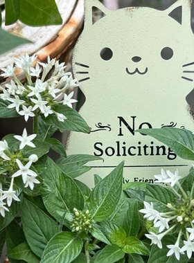 可爱字母印花白色铁皮猫咪花插摆件花园阳台装饰拍摄道具满30包邮