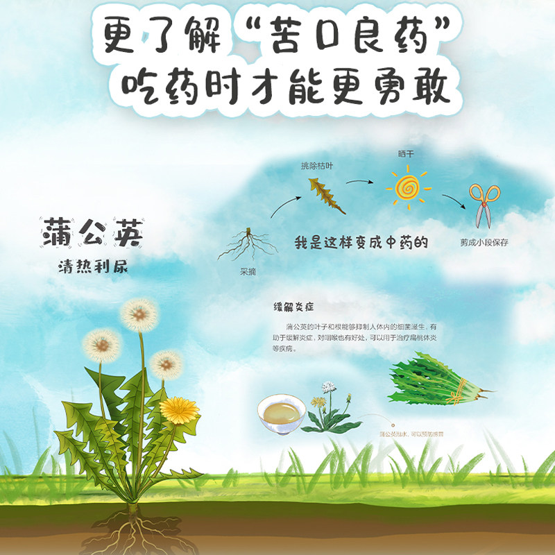 少儿-孩子认本草5册北京中医药大学教授原国家中医药管理局局长佘靖序推荐中医专家会讲给自己孩子听的中草药小知识