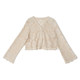 Dream horse hollow sweater short cardigan spring and summer sunscreen top with skirt small jacket long sleeve temperament