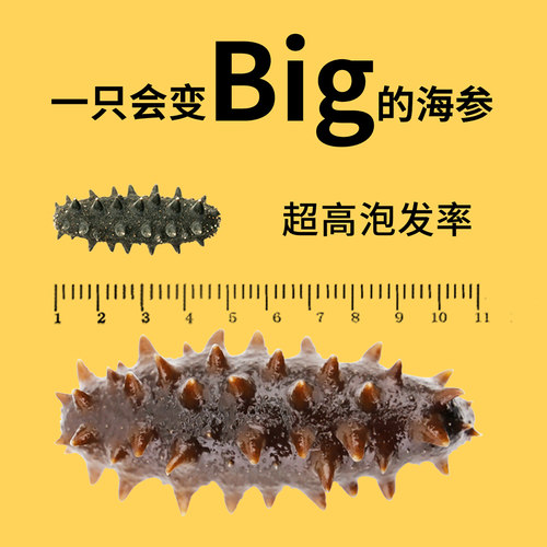 老王8年海参干货50g 开口笑深海野生淡干大连海参辽参海渗礼盒 - 图1