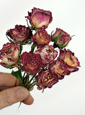 小玫瑰干花DIY真花花材