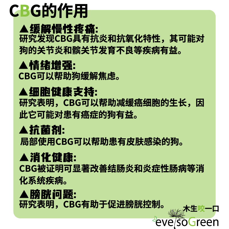 现货 英国eversogreen狗猫宠物CBG癫痫CBD神经炎关节颈腰椎止疼癌 - 图2