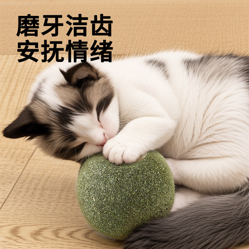 猫玩具超大猫薄荷球自嗨解闷神器猫猫小猫逗猫棒宠物猫咪用品磨牙,淘宝优惠券,粉丝福利购,淘宝优惠卷