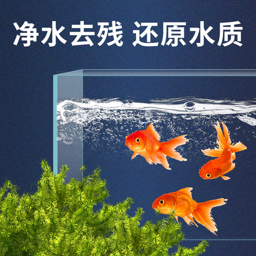 亚甲基蓝鱼缸消毒水族鱼专用杀菌药专治烂身烂尾水霉病药试剂溶液 - 图1