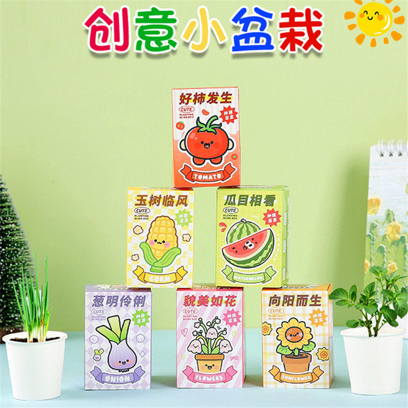 幼儿园儿童小礼品创意卡通种植盆栽小盲盒小学生奖励奖品分享礼物