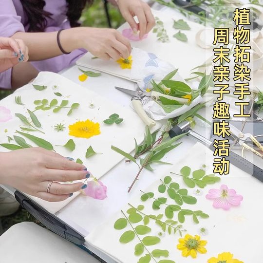 植物敲拓染材料包明矾固色剂拓印扎染帆布包diy工具锤子树叶草木