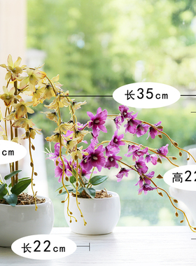 和家石斛兰仿真花樱花新房跳舞兰
