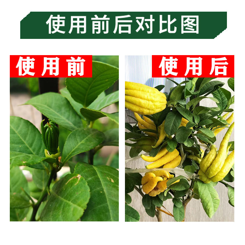 佛手树苗专用肥料有机肥料营养液蔬菜瓜果营养液蜜罗柑养料复合肥,淘宝优惠券,粉丝福利购,淘宝优惠卷