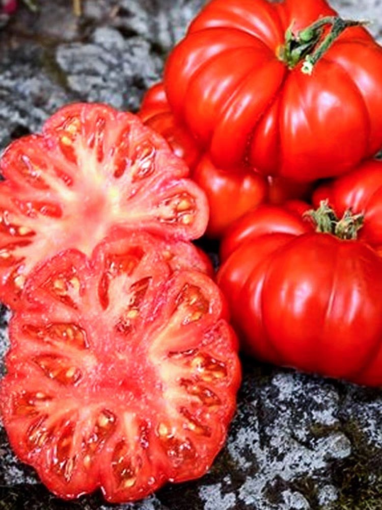 揭阳农研潮汕老品种马蹄大蕃茄籽 原包分装10粒5元（28包邮）,淘宝优惠券,粉丝福利购,淘宝优惠卷