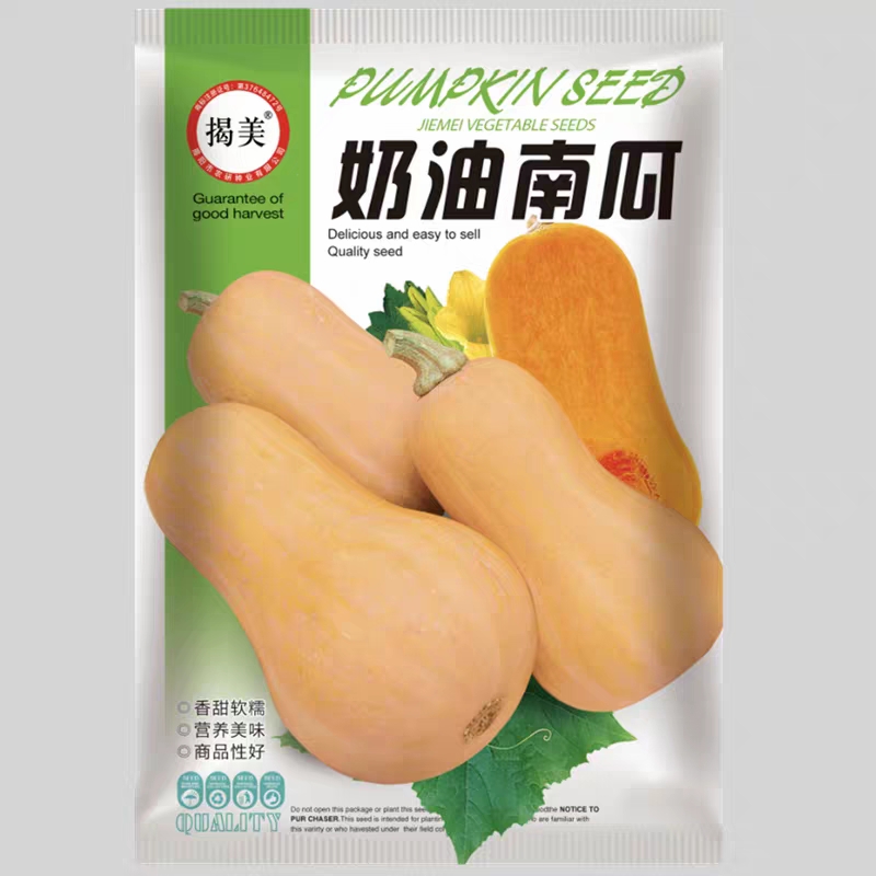 揭阳农研奶油南瓜Butternut Squash10粒6元原厂彩包（28元包邮） - 图2