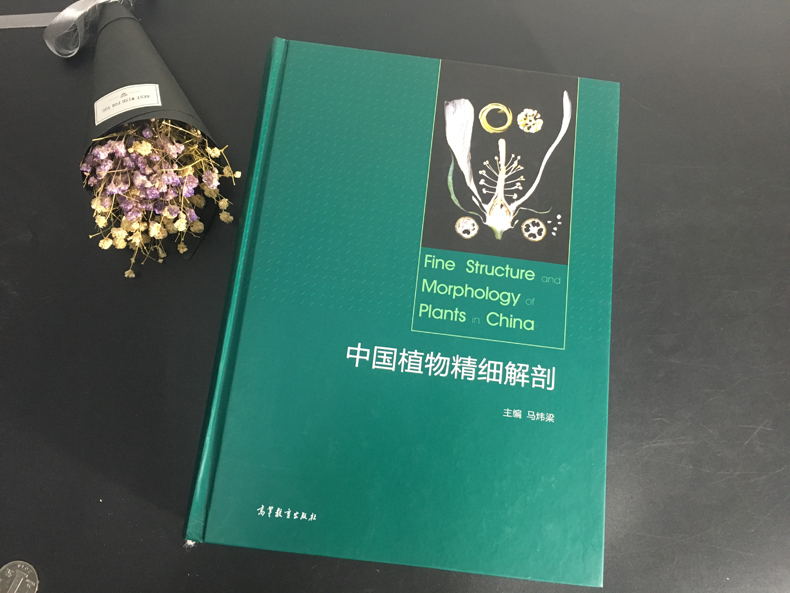 官方正版】中国植物精细解剖 马炜梁 高等教育出版社 植物生物学 解剖学 附二维码资源 供高等院校生物、农林、医药等相关专业教材
