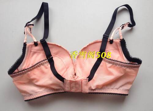 专柜正品伊丝艾拉18014 AB厚杯性感聚拢文胸小胸水袋杯内衣 - 图2