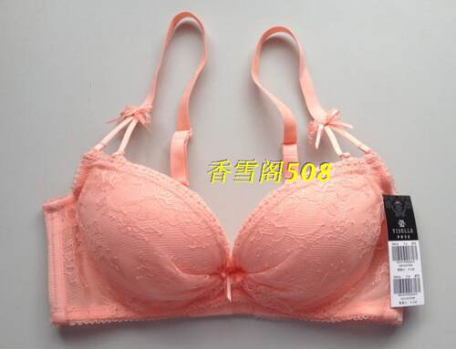 专柜正品伊丝艾拉18014 AB厚杯性感聚拢文胸小胸水袋杯内衣 - 图0