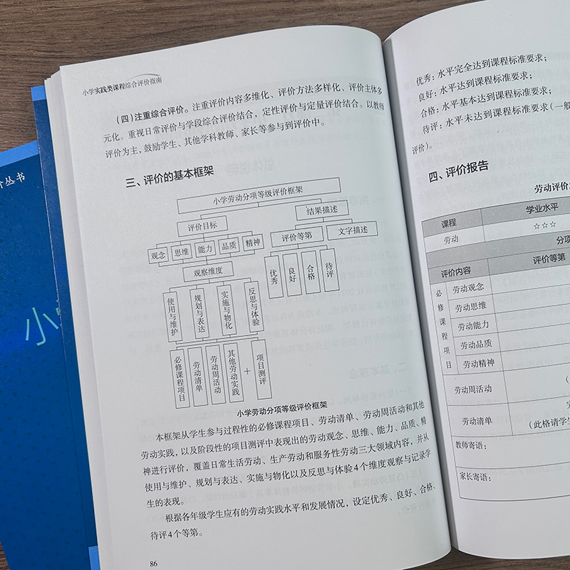 小学实践类课程综合评价指南 小学生综合评价丛书 小学教师教育工作者指导用书 小学综合素质评价理论实践研究指导 浙江教育出版社