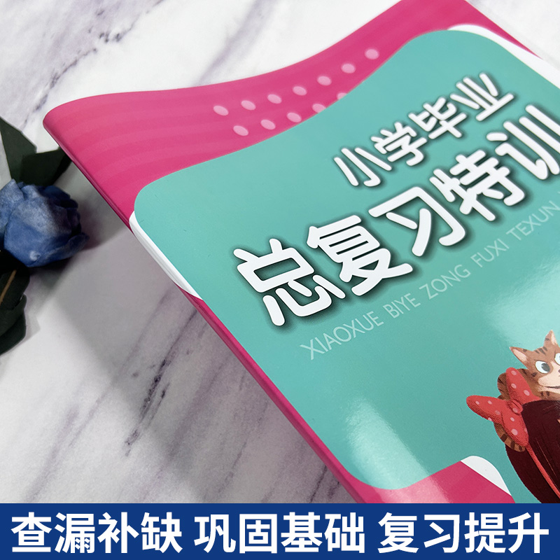 小学毕业总复习特训语文人教版同步小升初中语文专项复习训练卷六年级下升学辅导资料必刷真题考试卷基础知识大全浙江教育出版社-图1