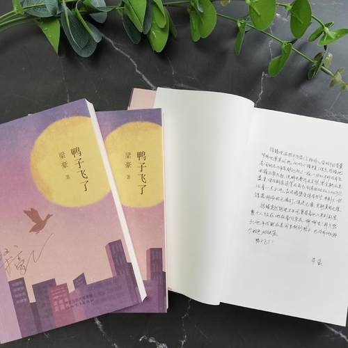 RT69包邮 鸭子飞了河北教育出版社小说图书书籍 - 图3