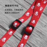 Ходячая собачья веревка маленькая собака Тедди собака