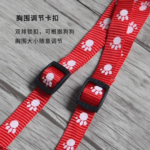 Ходячая собачья веревка маленькая собака Тедди собака