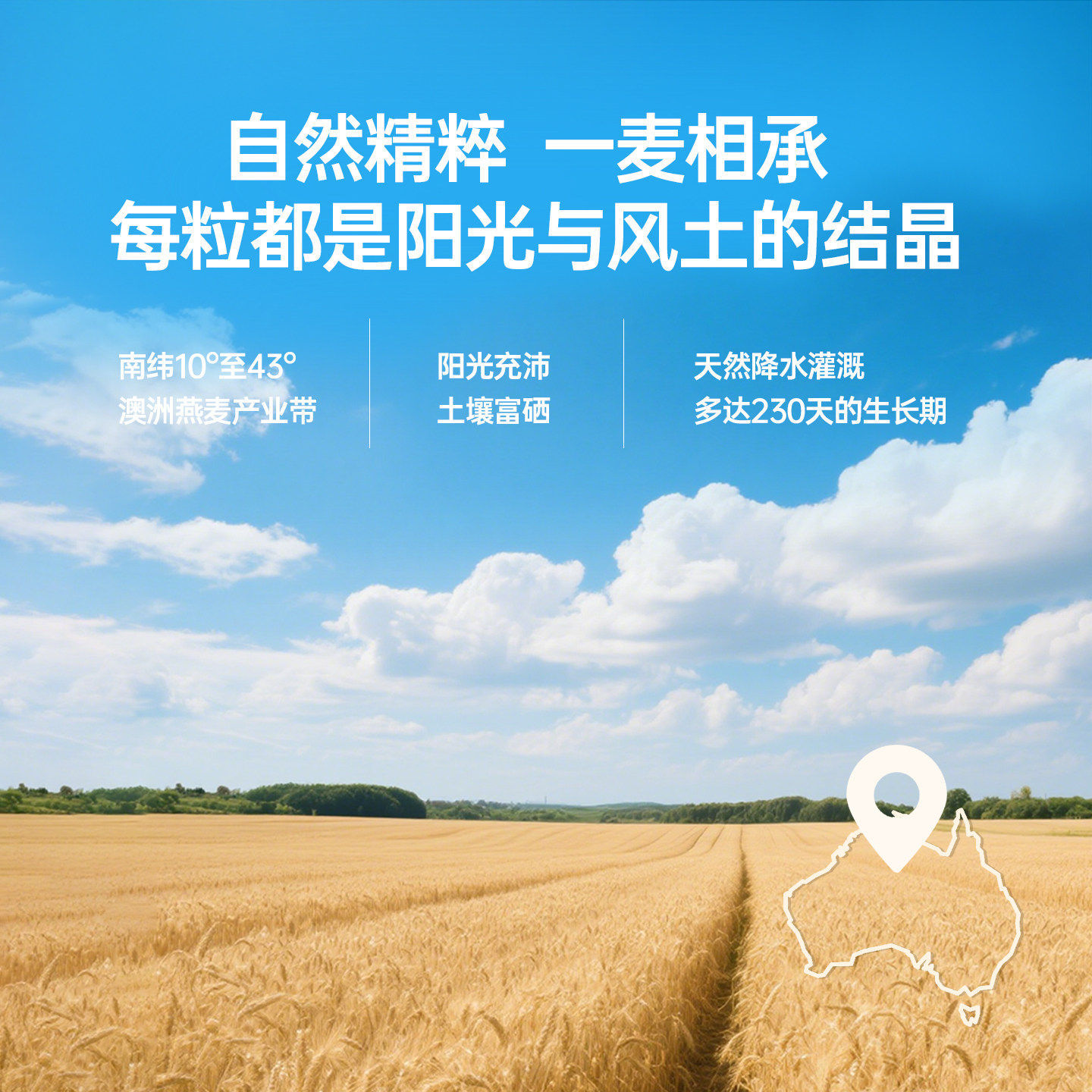 贝氏澳洲即食纯燕麦片营养早餐懒人速食冲饮健身代餐饱腹小条装,淘宝优惠券,粉丝福利购,淘宝优惠卷